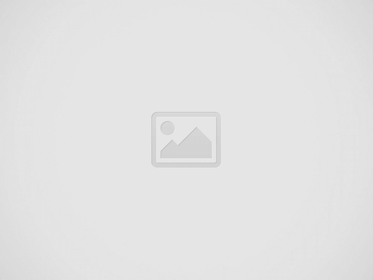 Você sabe o que é a desempenadeira? Descubra neste guia