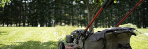 cortador de grama em local arborizado com grama verde