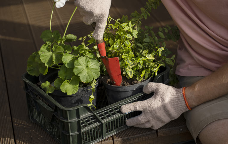 pessoa de luva usando pá para ajeitar verduras para demonstrar como fazer horta em casa
