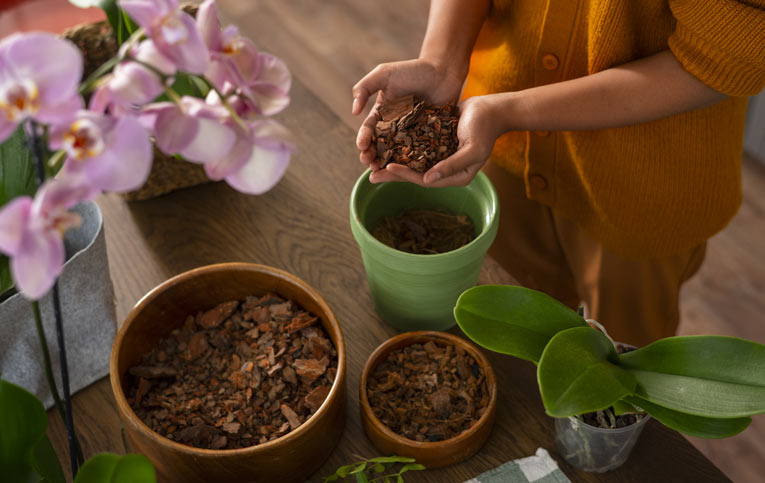 pessoa com terra nas mãos em cima de vaso representando como fazer muda de orquídea