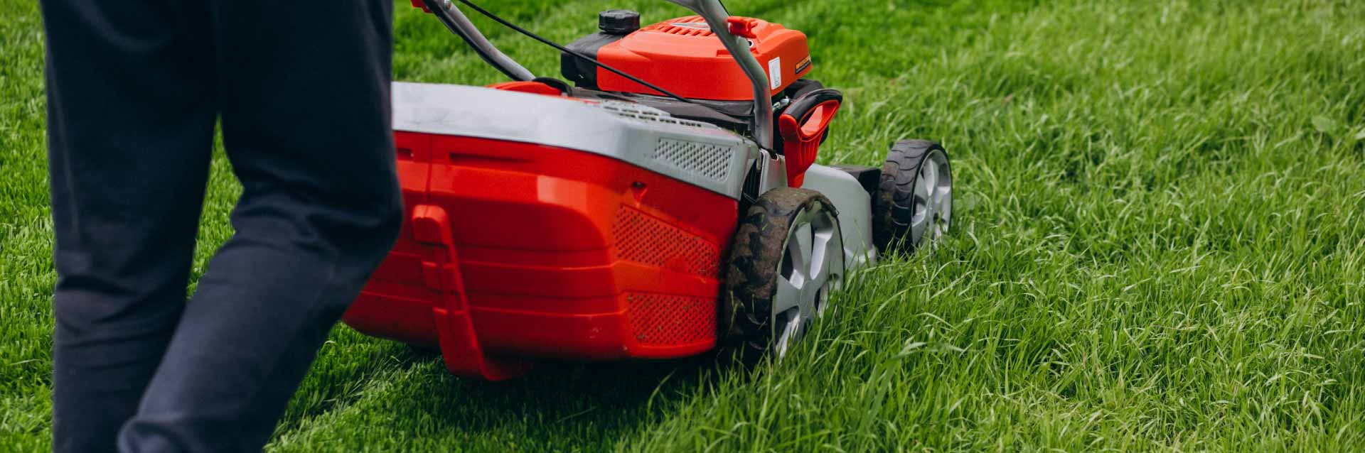 Opções para cuidar do jardim: veja o guia para escolher ferramentas certas e eficientes